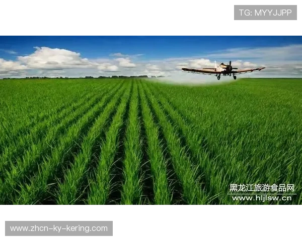 世界田径联盟在赛事组织中实施绿色票务与无纸化入场措施，世界田径锦标赛logo