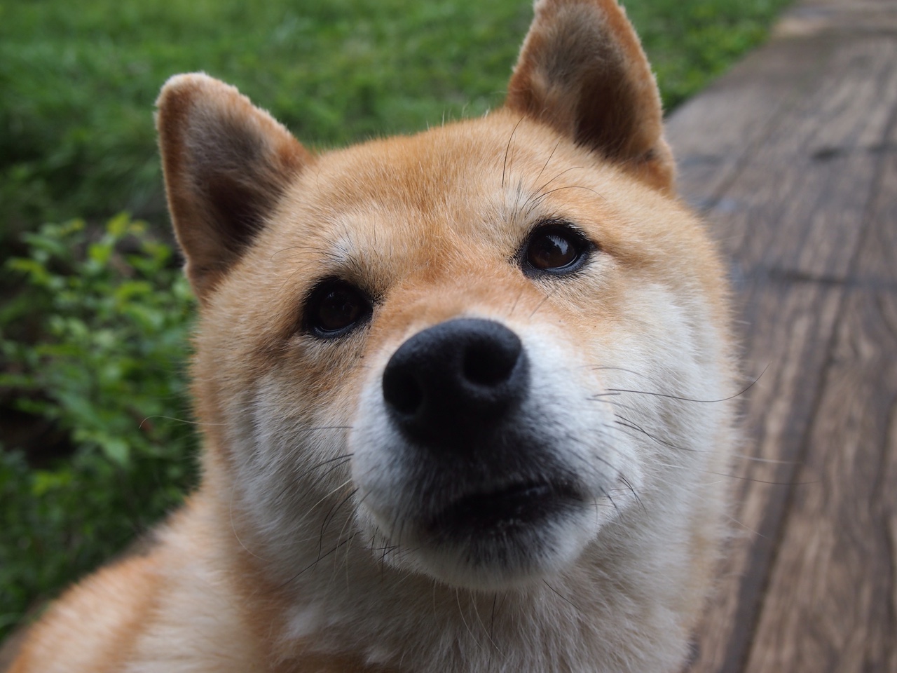 节奏失衡是否容易导致外线空位被忽略，节奏失真怎么调